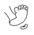 The foot shaped like a bean.