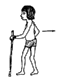 Walking stick (cane)