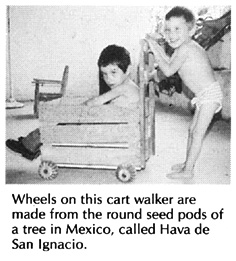 Wheels on this cart walker.