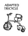 Adapted tricycle (Asia-pacific)