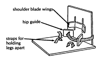 Design for a straight-leg sitting frame