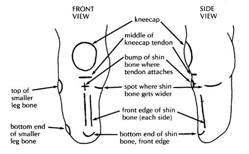 Artificial leg's front & side view.