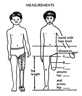 A leather and metal rod limb's measurements.