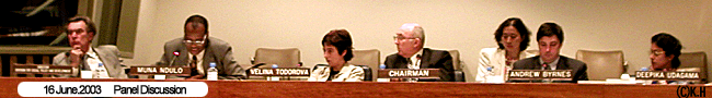 16.JUNE 2003 panel discussion