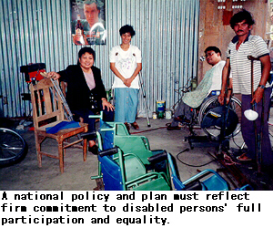 A national policy and plan must reflect firm commitment to disabled persons' full participation and equality.