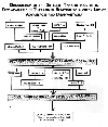 Organigram of the Different Types of prosthetic Feet available in Thailand in Relation to a check List of Advantages and Disadvantages.