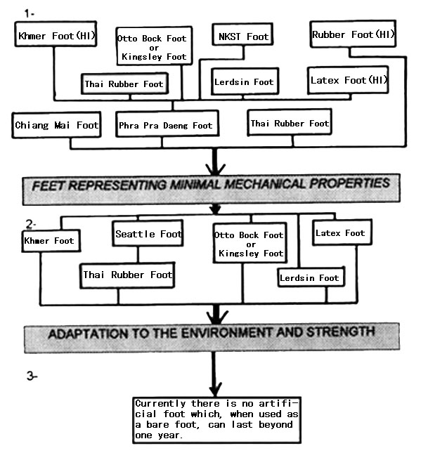 1. Feet representing minimal mechanical properties - Khmer Foot(HI), Thai Rubber Foot, Otto Bock Foot or Kingsley Foot, NKST Foot, Lerdsin Foot, Latex Foot(HI), Phra pra Daeng Foot, Chiang Mai Foot and Rubber Foot(HI). 2. Adaptation to the environment and strength - Khmer Foot, Seattle Foot Thai Rubber Foot, Otto Bock Foot or Kingsley Foot, Lerdsin Foot and Latex Foot. 3. Currently there is no artificial foot which, when used as a bare foot, can last beyond one year.