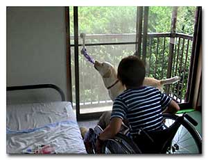 Dog opening a sliding glass door for the student