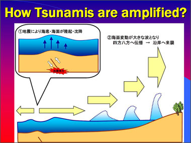 Slide 15