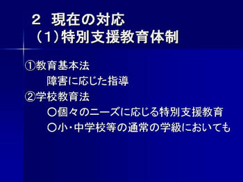 現在の対応（１）特別支援教育体制