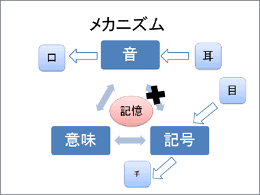 ディスレクシアのメカニズム（音と記号が結びつかない）