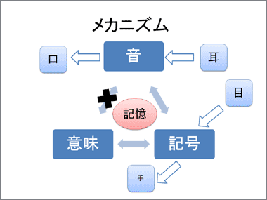 ディスレクシアのメカニズム（音と意味が結びつかない）