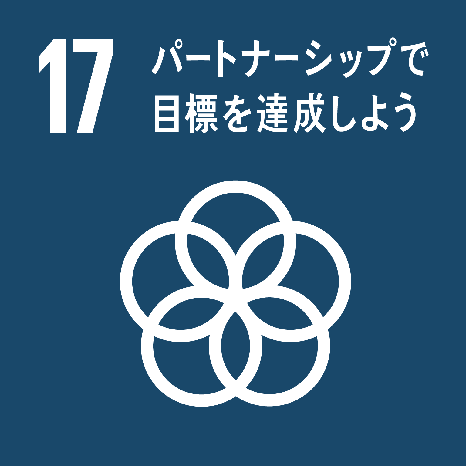 目標１７：パートナーシップで目標を達成しよう