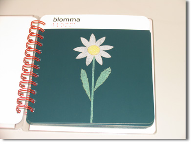 blooma（花）の墨字と点字、さわってわかる花の絵