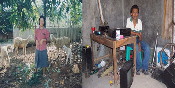 右：電化製品を修理する障害のある若者、左：羊の世話をする知的障害を持った女性