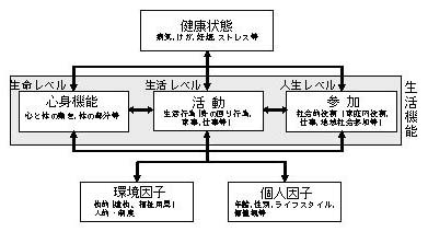 図1．生活機能モデル（ICF）