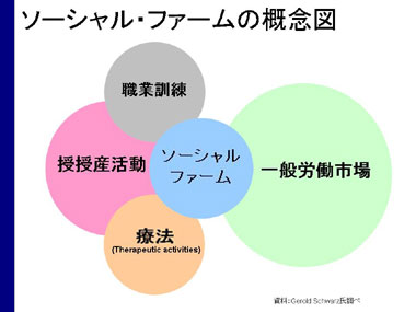 ソーシャル・ファーム概念図の画像