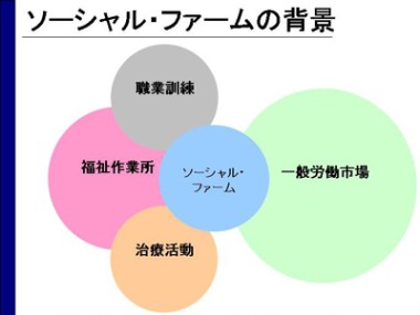 ソーシャルファームの背景図：ソーシャルファームは職業訓練、福祉作業所、治療活動、一般労働市場にそれぞれに関連性を持ち合わせている。