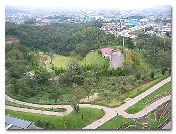 病院の敷地にある緑あふれる広大な庭園