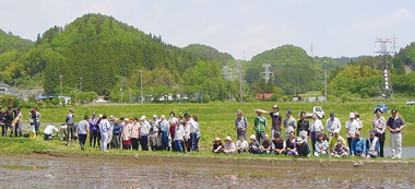 写真　里山再生プロジェクトのイベント風景