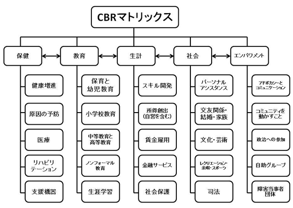 図1：CBRマトリックス