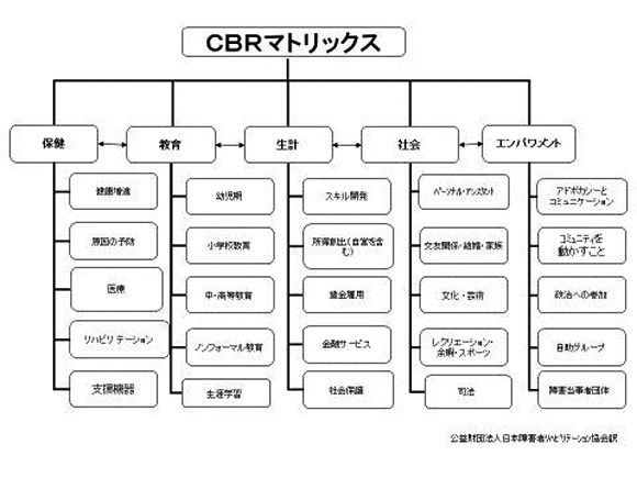 図1：CBRマトリックス