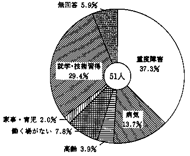 問３３　仕事をしていない理由　の回答グラフ