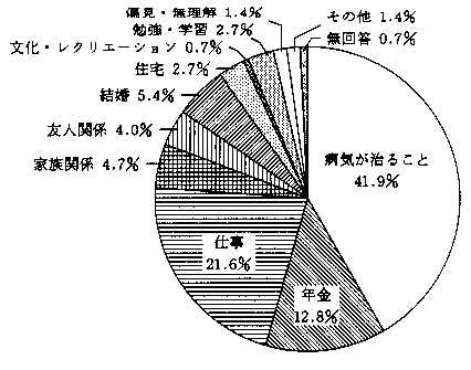 問19　関心事について　の回答グラフ