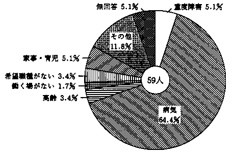 問２９　仕事をしていない理由　の回答グラフ