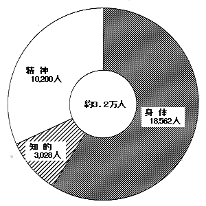 円グラフ：堺市における障害者数