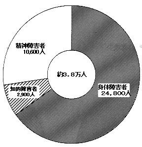 円グラフ：平成17年度障害者数推計