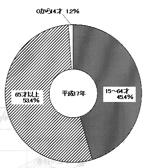 円グラフ：年齢別障害者数（身体）　平成17年