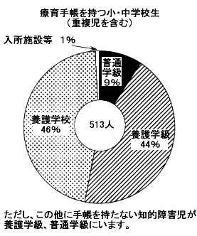 円グラフ：療育手帳を持つ小・中学生