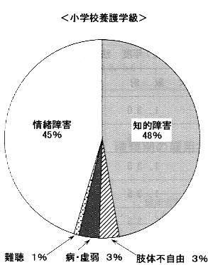 円グラフ：小学校養護学級