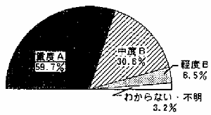 障害の程度（療育手帳）：半円グラフ