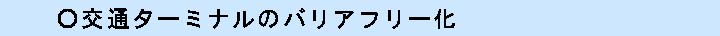 交通夕ーミナルのバリアフリー化