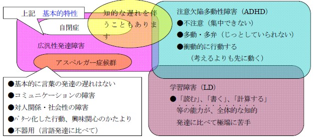 自閉症と発達障害の図