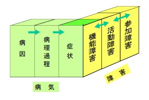 図１　病気と障害の関係