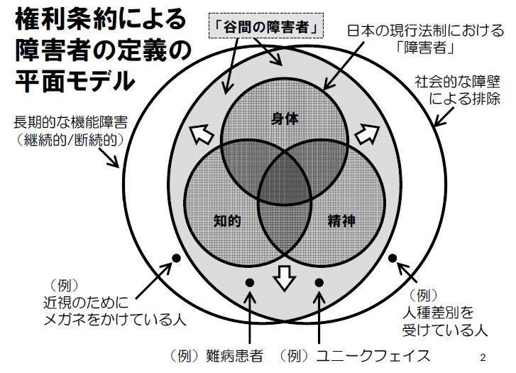 権利条約による障害者の定義の平面モデル