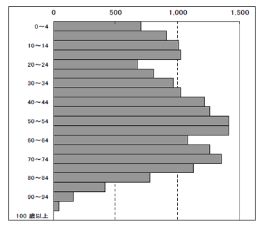 年齢別人口構成（平成17年国勢調査）