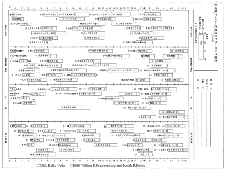 図　日本版ＤＤＳＴ用紙