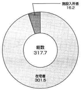 図　円グラフ　（3）身体障害児･者