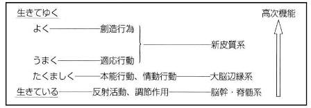 表　生の営み（時実利彦、1970改変）