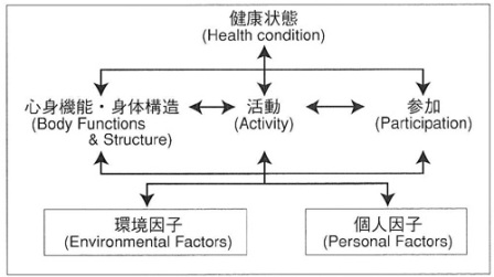 図 生活機能構造モデル