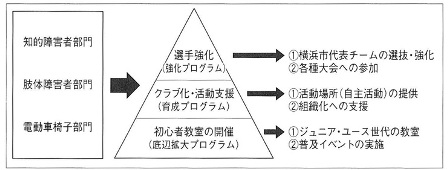 図　障害別・レベル別プログラム