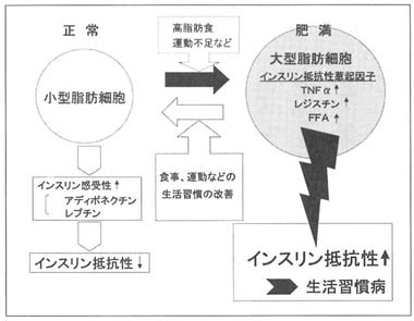 図２