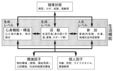 図１　生活機能モデル（ＷＨＯ―ＩＣＦ、２００１）