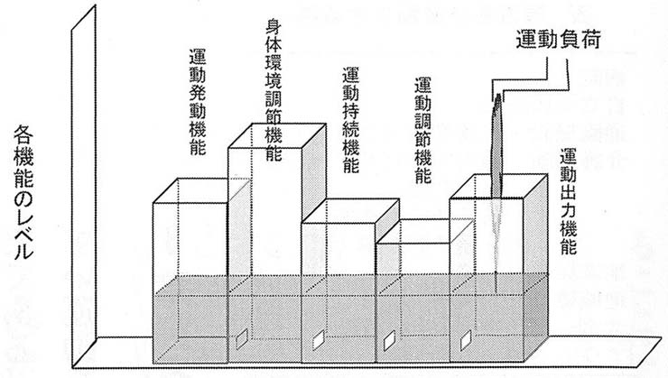 縦棒グラフ　運動の限界と各機能の関係を表す模式図