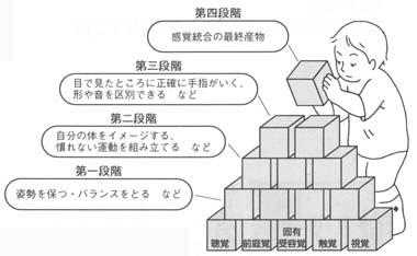 図２　感覚統合の発達モデル