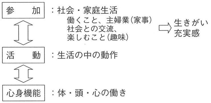 図２　生活機能